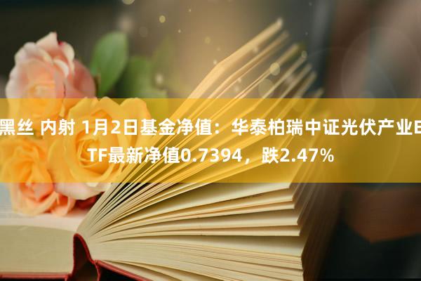 黑丝 内射 1月2日基金净值：华泰柏瑞中证光伏产业ETF最新净值0.7394，跌2.47%