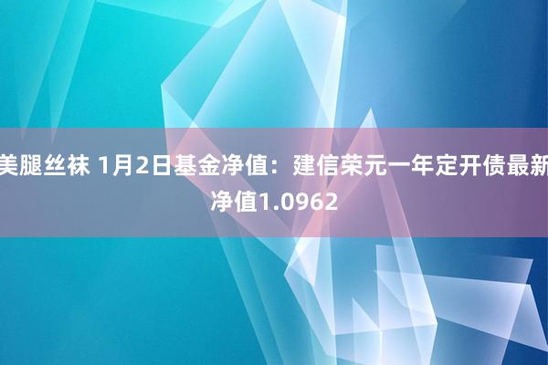 美腿丝袜 1月2日基金净值：建信荣元一年定开债最新净值1.0962