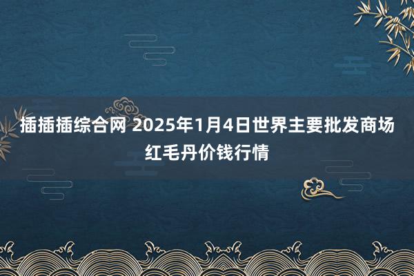 插插插综合网 2025年1月4日世界主要批发商场红毛丹价钱行情