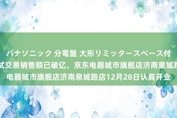 パナソニック 分電盤 大形リミッタースペース付 露出・半埋込両用形 试交易销售额已破亿，京东电器城市旗舰店济南泉城路店12月28日认真开业