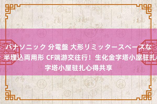 パナソニック 分電盤 大形リミッタースペースなし 露出・半埋込両用形 CF端游交往行！生化金字塔小屋驻扎心得共享