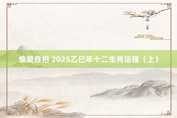 偷窥自拍 2025乙巳年十二生肖运程（上）