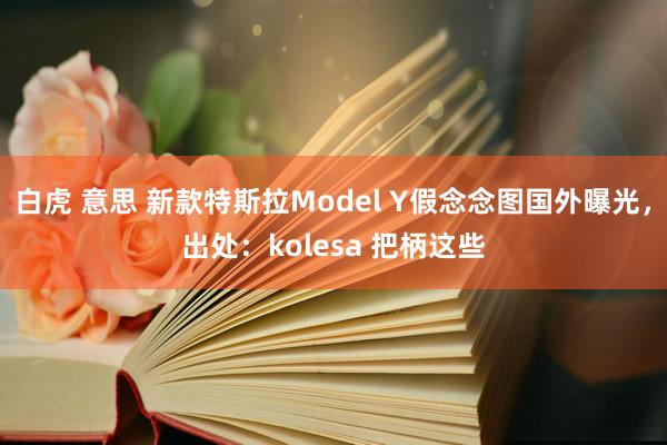 白虎 意思 新款特斯拉Model Y假念念图国外曝光，出处：kolesa 把柄这些