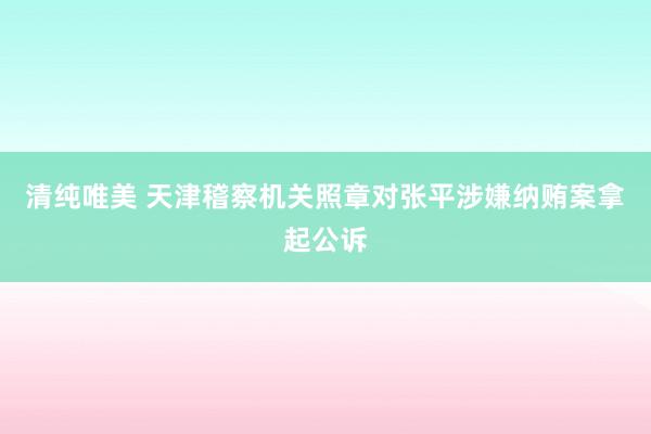 清纯唯美 天津稽察机关照章对张平涉嫌纳贿案拿起公诉