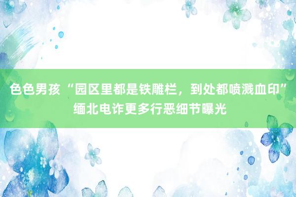 色色男孩 “园区里都是铁雕栏，到处都喷溅血印” 缅北电诈更多行恶细节曝光