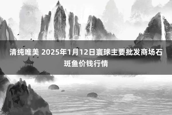 清纯唯美 2025年1月12日寰球主要批发商场石斑鱼价钱行情