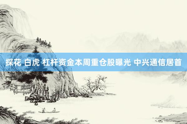 探花 白虎 杠杆资金本周重仓股曝光 中兴通信居首