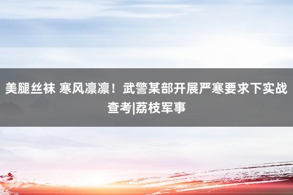 美腿丝袜 寒风凛凛！武警某部开展严寒要求下实战查考|荔枝军事