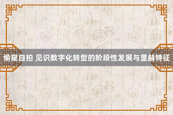 偷窥自拍 见识数字化转型的阶段性发展与显赫特征