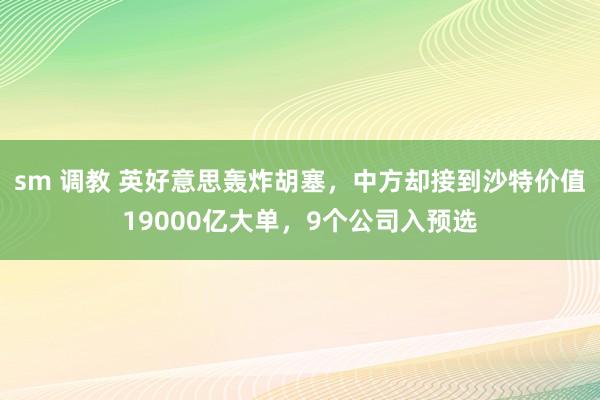 sm 调教 英好意思轰炸胡塞，中方却接到沙特价值19000亿大单，9个公司入预选